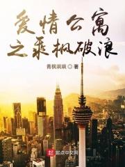 爱情公寓披风
