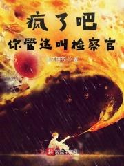 你管这叫检察官首