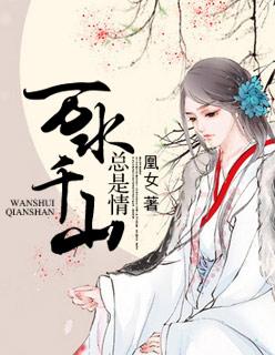 万水千山总是情 电视剧