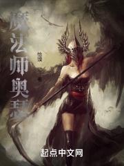 魔兽 法师 奥术