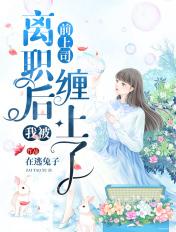 离职后我被前上司缠着了