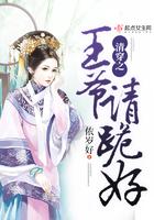 清穿之王爷侧福晋