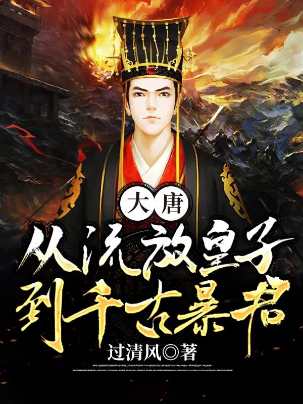 穿越到大唐是皇族遗留在民间的皇子的