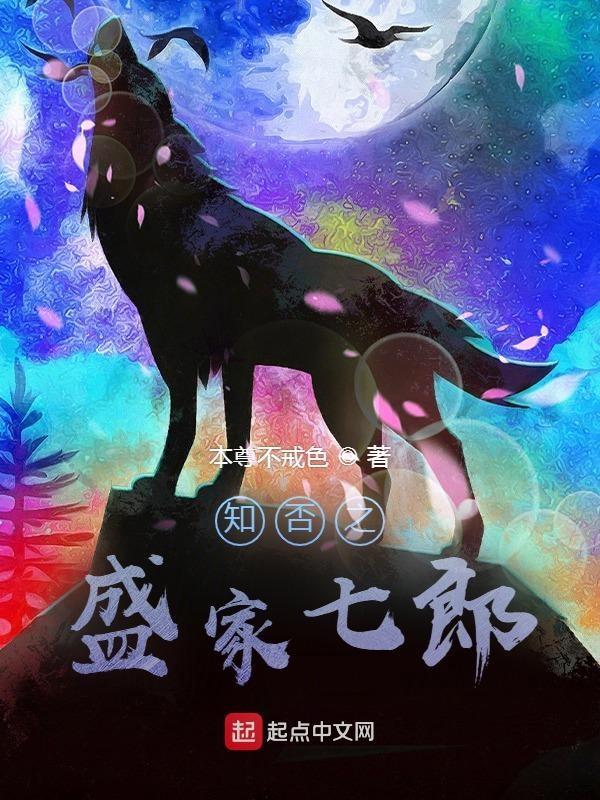 知否知否之盛家小七