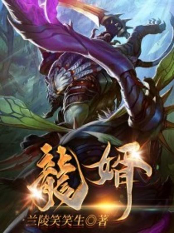 龙婿叶辰萧初然免费阅读最新章