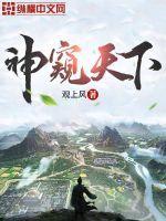 窥天神算