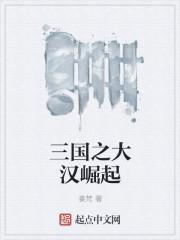 三国之大汉崛起txt八零