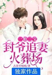 一胎双宝封先生宠妻入骨免费阅读