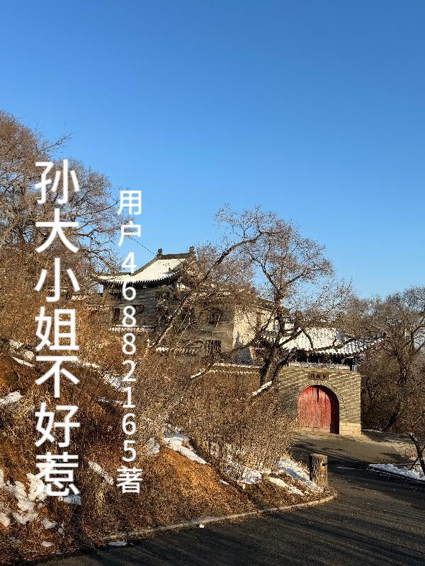 孙大小姐不好惹百度百科