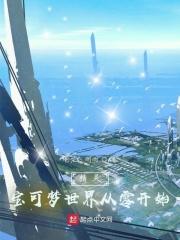宝可梦世界的