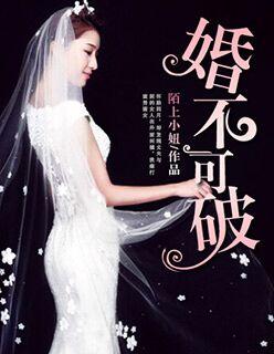 婚不可欺秦赫全文免费阅读
