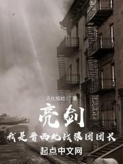 亮剑整个晋西北全乱了