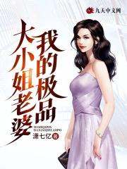 我的极品老婆txt作者小二
