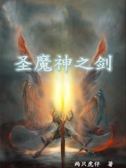 圣剑的魔剑使