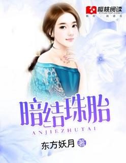 暗结珠胎的高级替换词