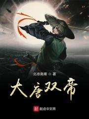 大唐之无双帝王