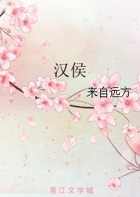 汉侯免费阅读