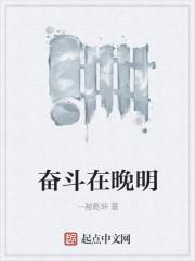 奋斗在明朝末年阅读