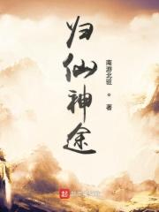 仙途求归txt