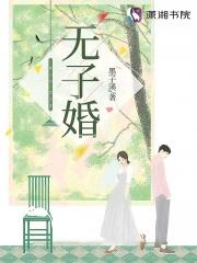 无子婚姻下集调解协议