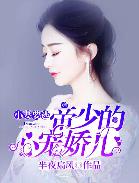 帝少小娇妻离婚无效免费阅读