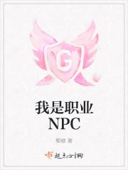 npc 职业