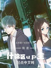 我是什锦区up主