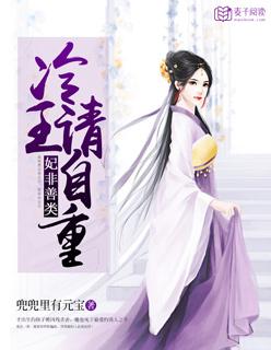 妃常穿越 冷王的孽妃
