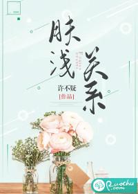肤浅关系内容