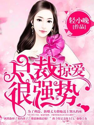 掠爱成婚 霸道总裁太难缠