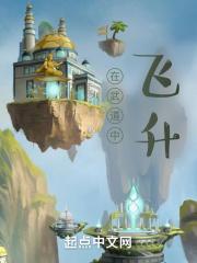 武道飞仙