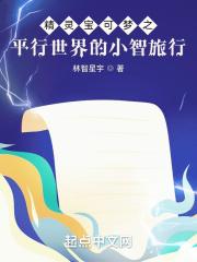 神奇宝贝之小智旅行路