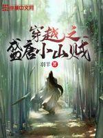 穿越盛世大唐的