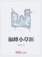 巅峰小草医全本TXT免费