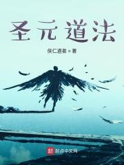 圣元介绍