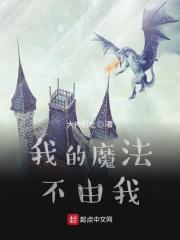 我的魔法书