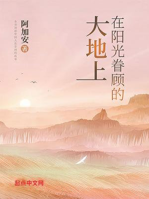 阳光照在大地上的句子