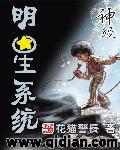 明星神级系统