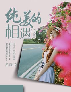 纯美的相遇 电影