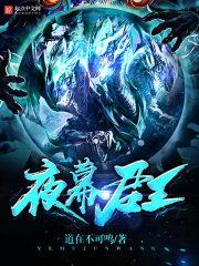 夜幕君王陈浩第二部