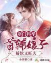首辅娇娘穿越