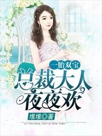 一胎双宝总裁大人夜夜欢全文免费阅读全民k歌