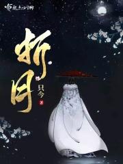 折月亮电视剧免费观看全集完整版高清在线观看