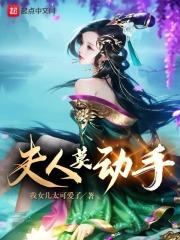 夫人莫动手TXT