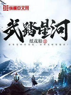 武踏星河书评