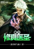 都市修真医圣陈飞慕