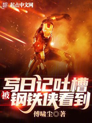 被钢铁侠看到TXT奇书网