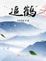追鹤影