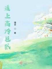 高冷总裁追妻