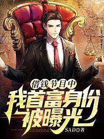 我首富身份被曝光(陈风)